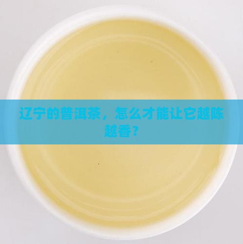 辽宁普洱茶怎么保存好茶