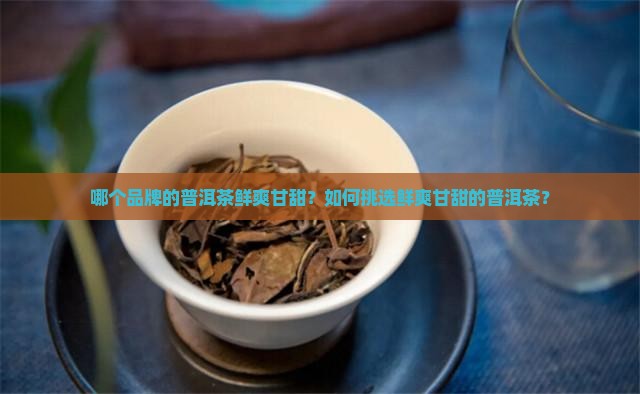 鲜爽甘甜的普洱茶品牌