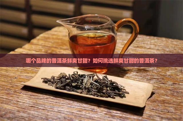 鲜爽甘甜的普洱茶品牌