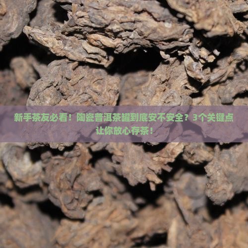 陶瓷普洱茶存茶罐好吗有毒吗