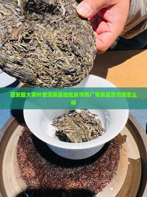 西安最大茶叶普洱茶