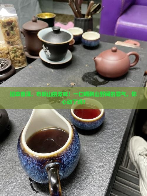 班章普洱布朗山普洱茶