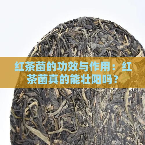 红茶菌的十大功效红茶菌壮阳吗