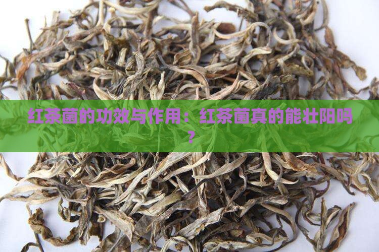 红茶菌的十大功效红茶菌壮阳吗