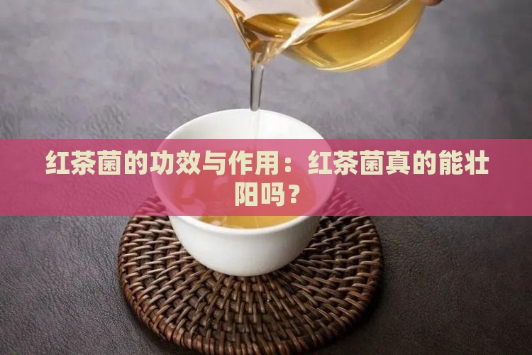 红茶菌的十大功效红茶菌壮阳吗