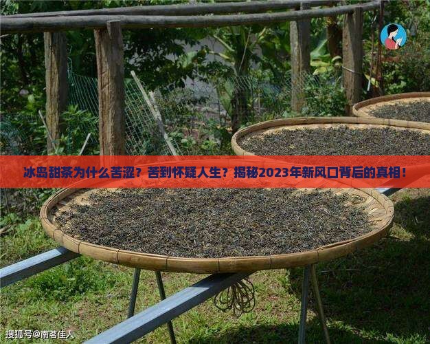 冰岛甜茶为什么苦涩