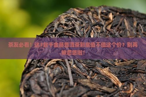 千金藤普洱茶价格