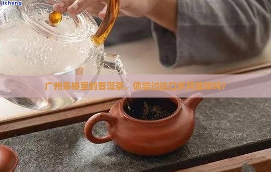 广州茶楼普洱茶