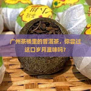 广州茶楼普洱茶