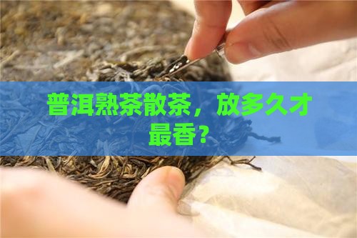 普洱熟茶散茶放多久好喝
