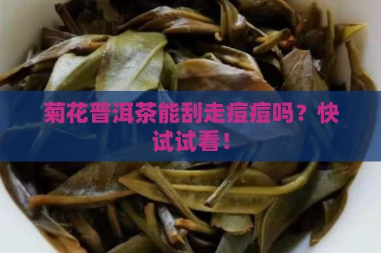 菊花普洱茶能祛痘吗
