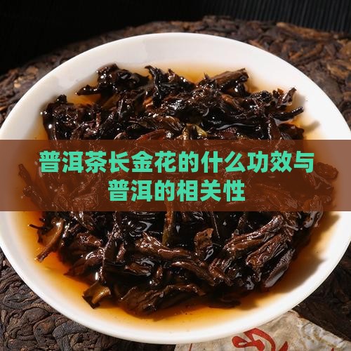 普洱茶长金花的功效
