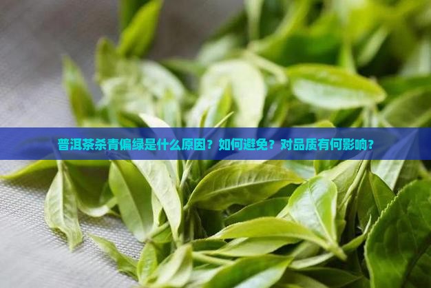 普洱茶杀青偏绿