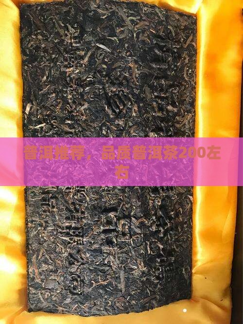 200左右普洱茶
