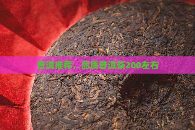 200左右普洱茶