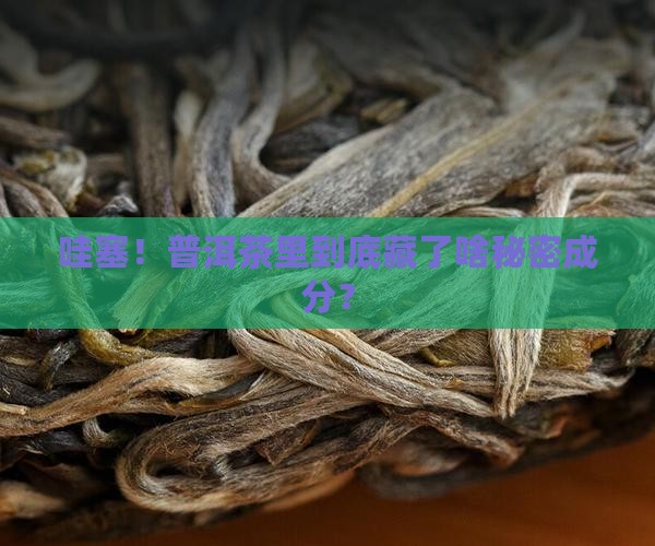 普洱茶的成分大全