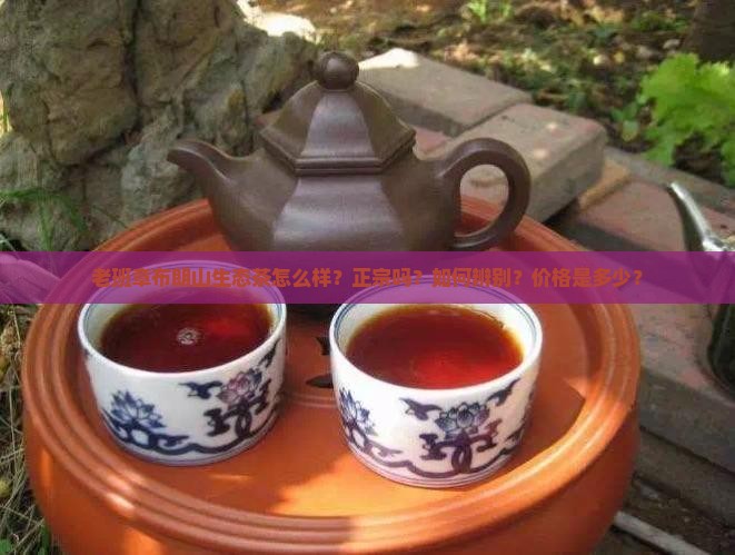 老班章布朗山生态茶