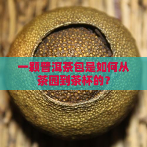 普洱茶包是怎么形成的
