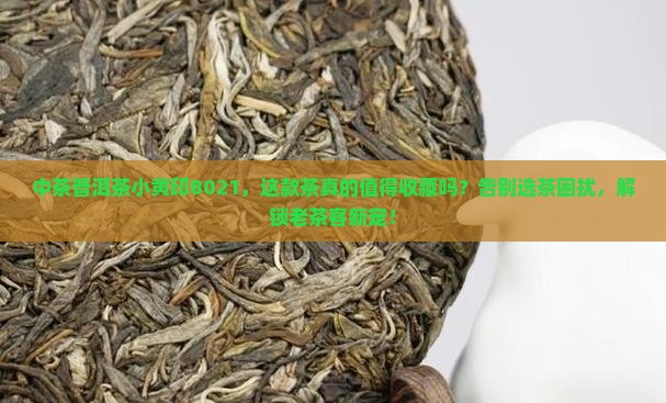 中茶普洱茶小黄印8021