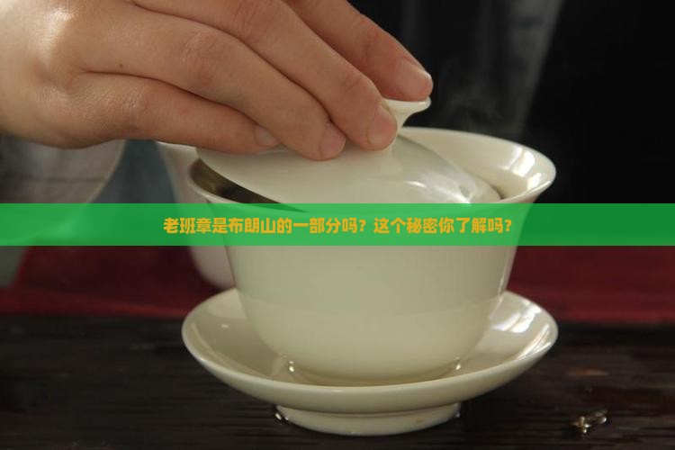 布朗山包括老班章吗
