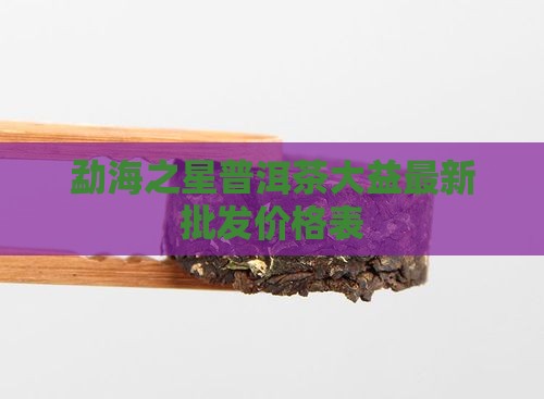 劲海之星普洱茶价格表