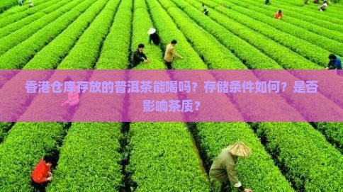 香港仓库普洱茶能喝吗