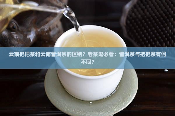 云南把把茶和云南普洱茶的区别