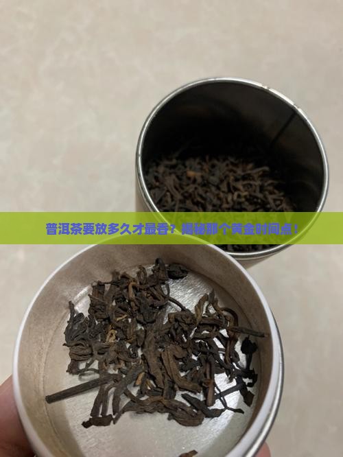 普洱茶存几年喝