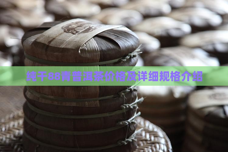 纯干88青普洱茶价格