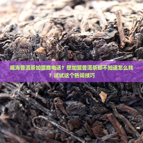 威海普洱茶加盟商电话