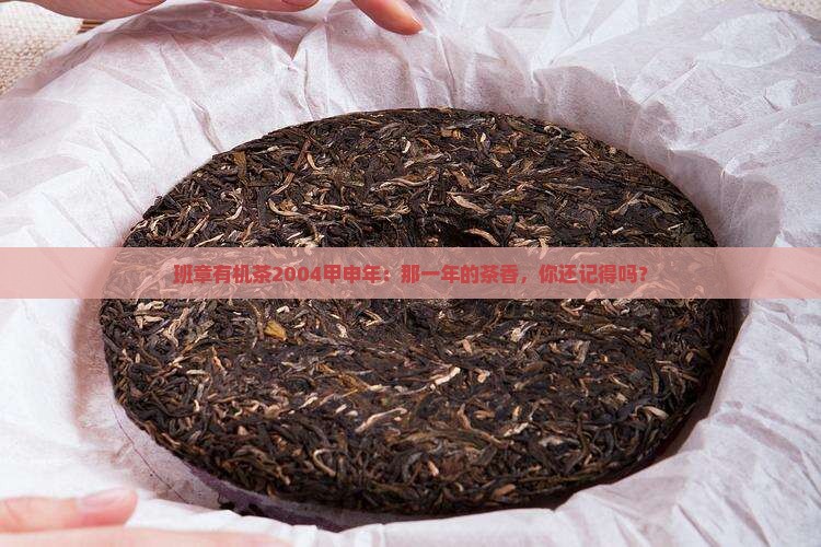 班章有机茶2004甲申年