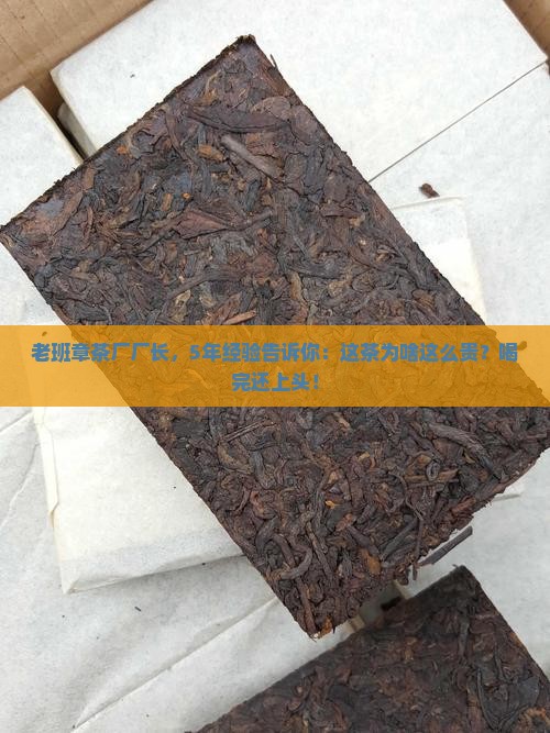 云南老班章古树茶厂厂长