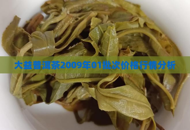 2009大益01生茶价格