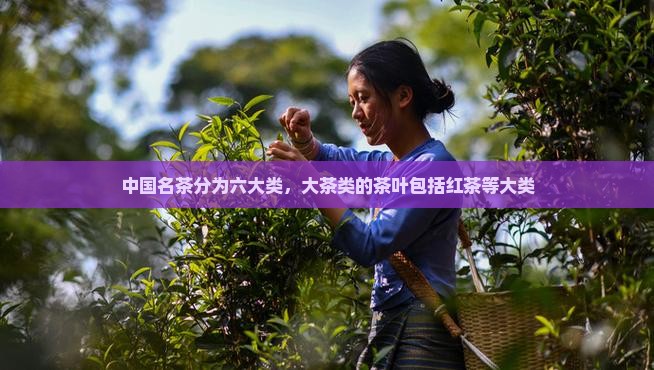 名茶名称分为几大类 名茶名称分为几大类