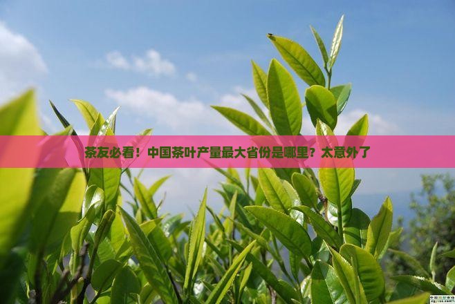中国茶叶产量最大的省份