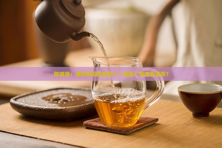 防城港可靠普洱茶招商