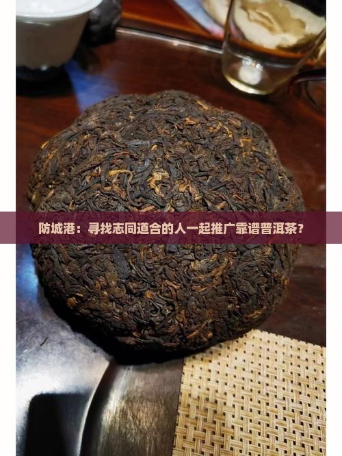 防城港可靠普洱茶招商