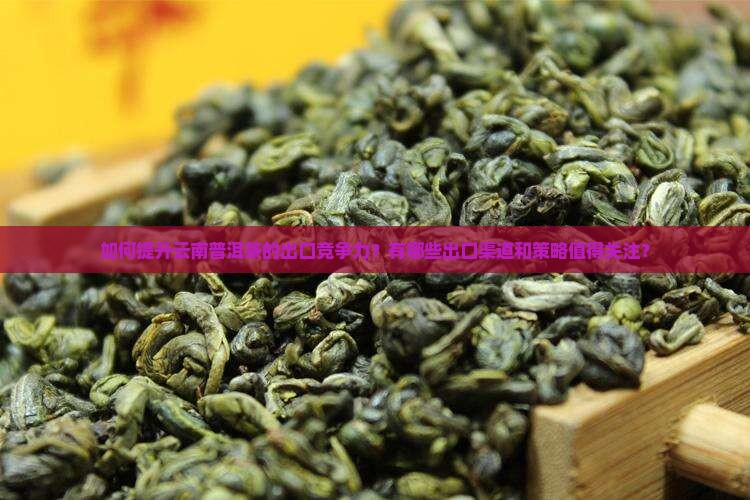云南普洱茶出口对策