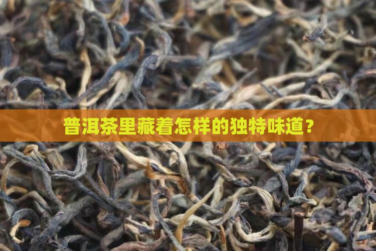 普洱茶最独特味道