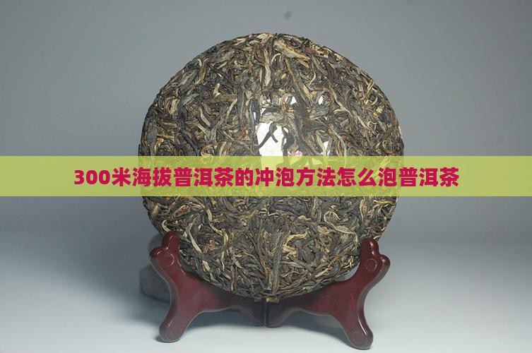 300米海拔普洱茶怎么泡