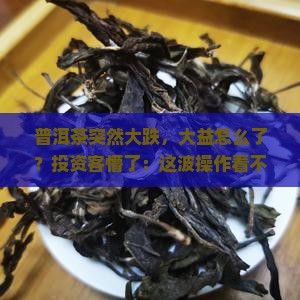 大益普洱茶大跌