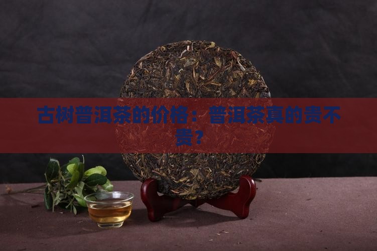 古树普洱茶贵不贵