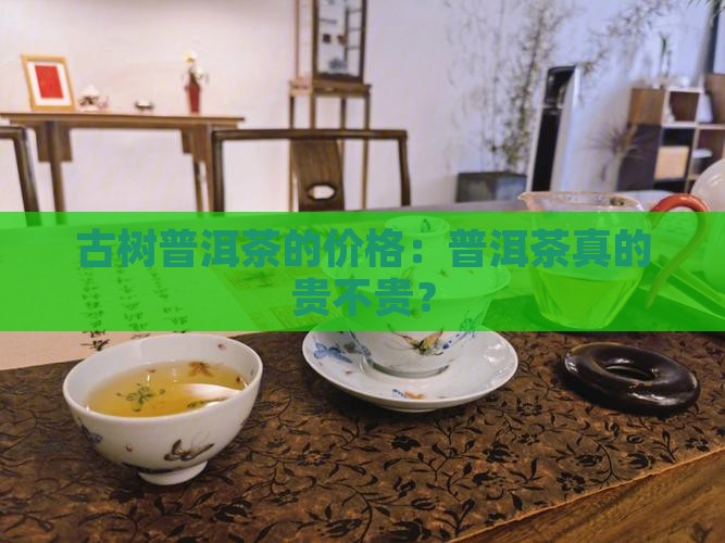 古树普洱茶贵不贵
