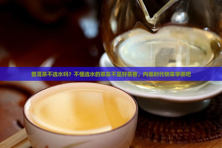 普洱茶不选水吗