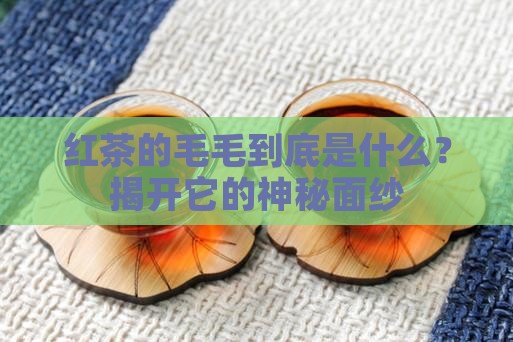 红茶的毛毛是什么