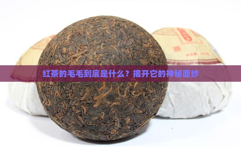 红茶的毛毛是什么