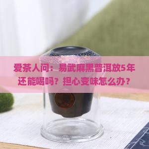 易武麻黑普洱茶可放多少年