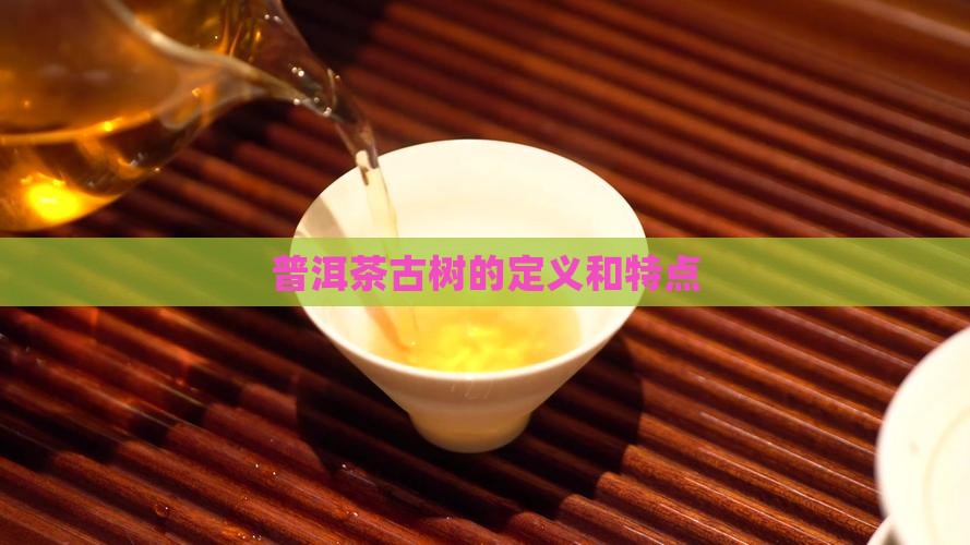 普洱茶古树的定义和特点