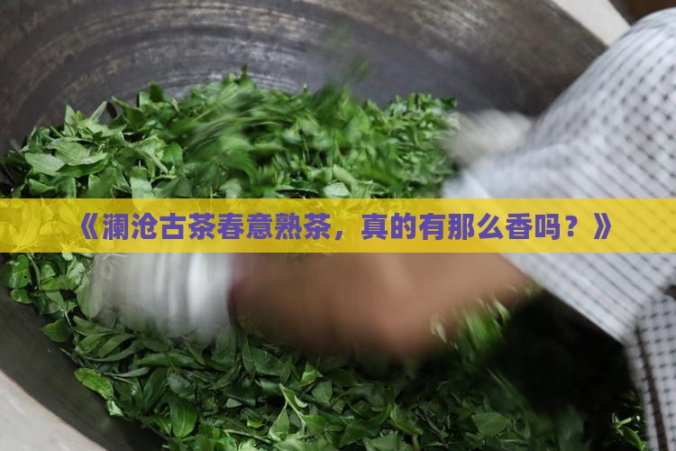 澜沧古茶春意熟茶值得吗