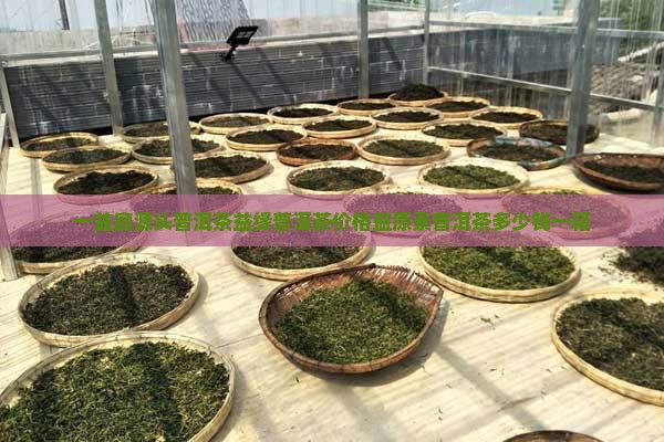 一益庭源头普洱茶